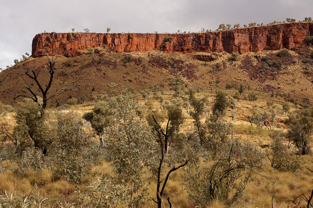 Figure 11: Millstream Chichester National Park