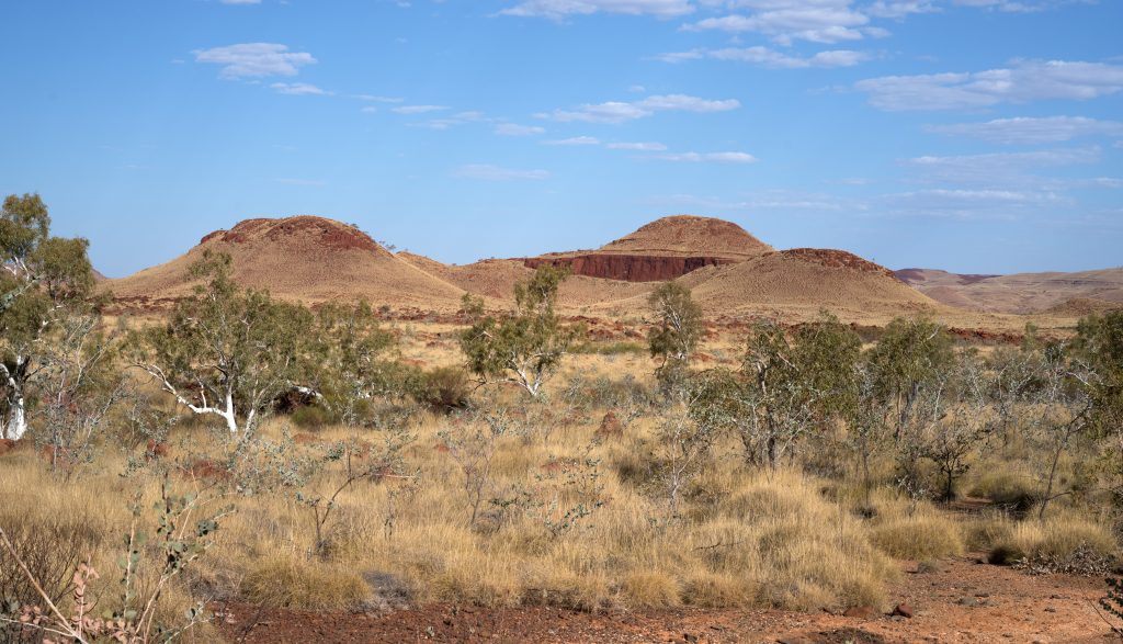 Figure 12: Millstream Chichester National Park