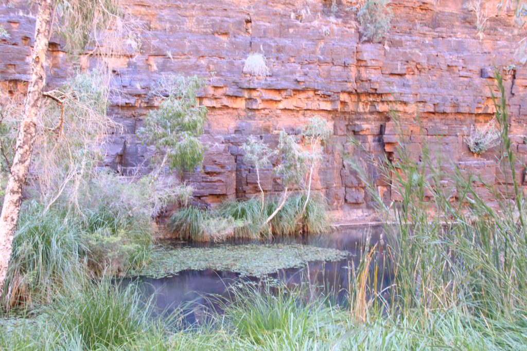 Figure 13: Karijini National Park - Brickwork remains