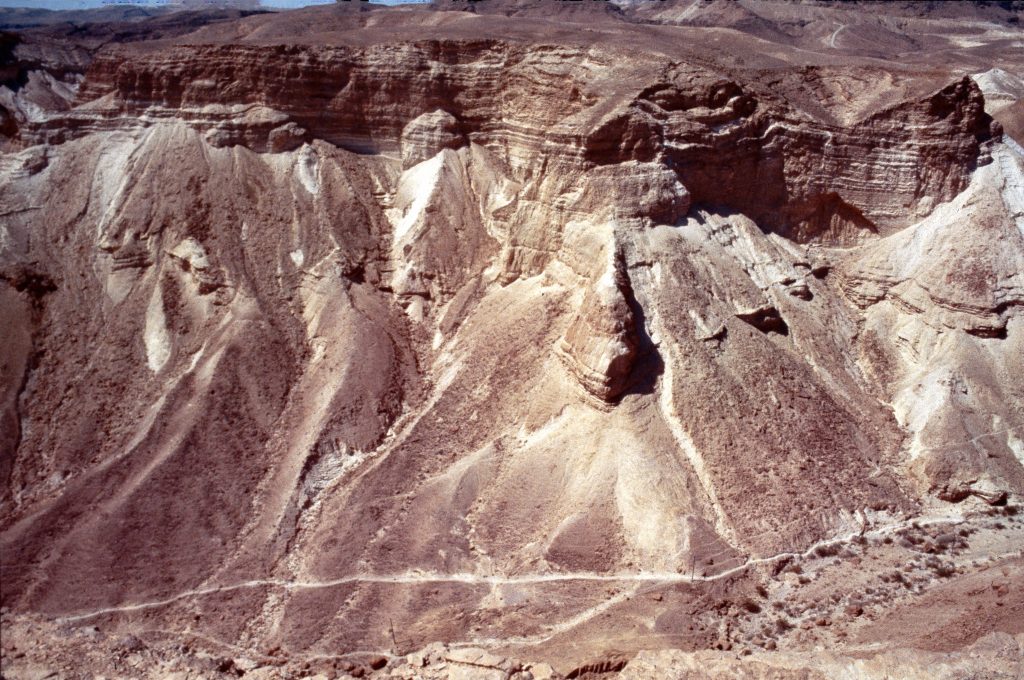 Figure 13: Negev Desert - Mangled remains