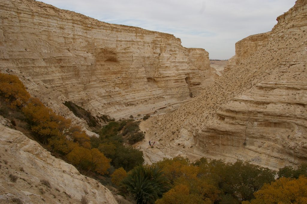 Figure 11: Negev Desert - Structural remains